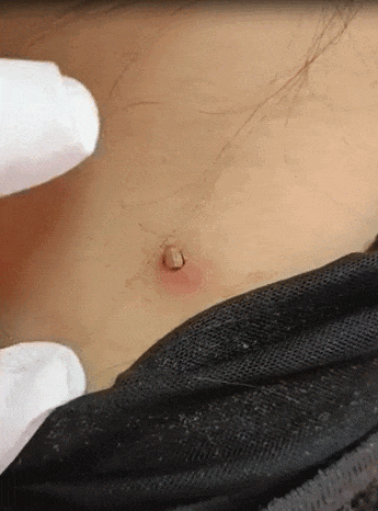 e4947bf5920a69adb4f696294161ca05.gif