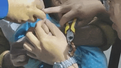 c277bc207bc7b165960d6c3dcc075ec9.gif