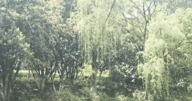 48fc4b9367598922e9c9050dc099510f.gif