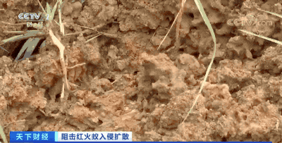 b40b64d1bacb94ac45bf83906be1f595.gif