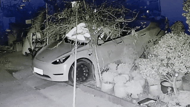 aa17011dbbfac3e746532cfbe66cc591.gif