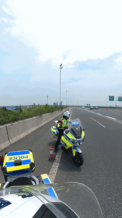 331bab6f271dd3c67250643ecda78e1a.gif