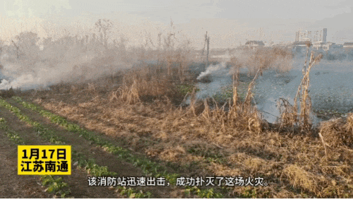 c49de4b5bd13210444458b2d74b37cc8.gif
