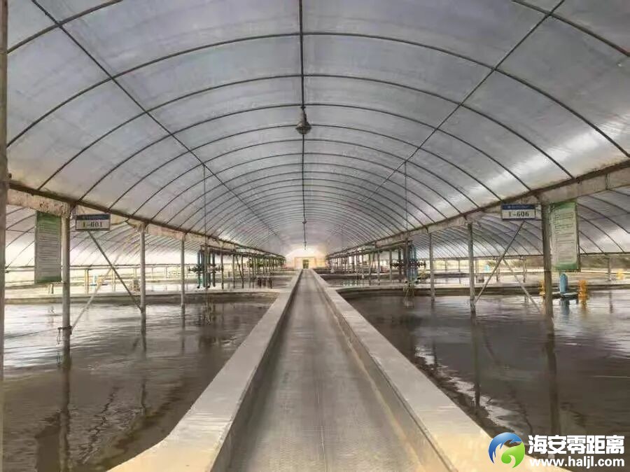 640?wx_fmt=jpeg&from=appmsg