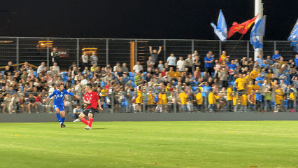 0?wx_fmt=gif&from=appmsg