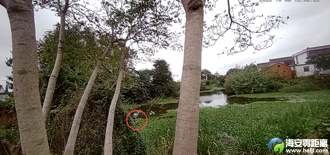 640?wx_fmt=png&from=appmsg#imgIndex=5