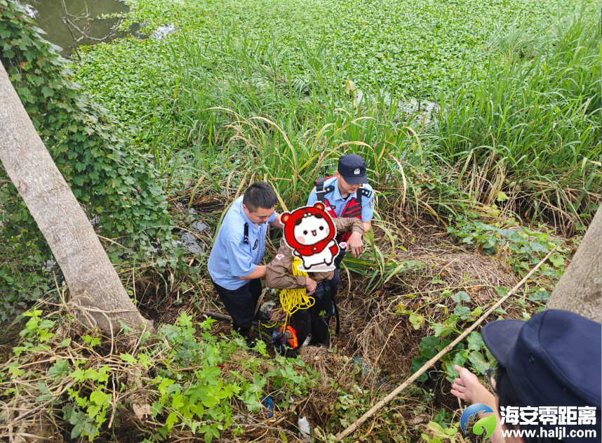 640?wx_fmt=png&from=appmsg#imgIndex=5