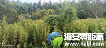 640?wx_fmt=png#imgIndex=4