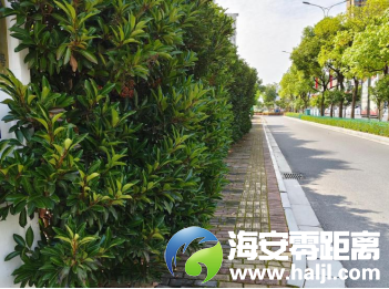 640?wx_fmt=png#imgIndex=50