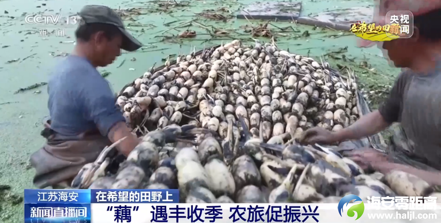 640?wx_fmt=png&from=appmsg#imgIndex=1