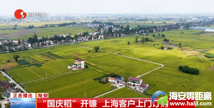 640?wx_fmt=png&from=appmsg#imgIndex=6