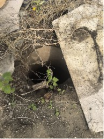 640?wx_fmt=png#imgIndex=44