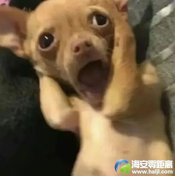 640?wx_fmt=jpeg#imgIndex=1