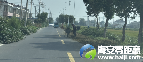 640?wx_fmt=png#imgIndex=74