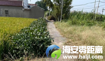 640?wx_fmt=png#imgIndex=70