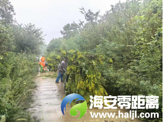 640?wx_fmt=png#imgIndex=89