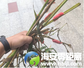 640?wx_fmt=png#imgIndex=33