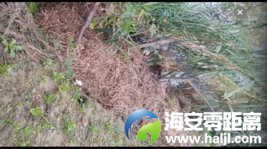 640?wx_fmt=png#imgIndex=35