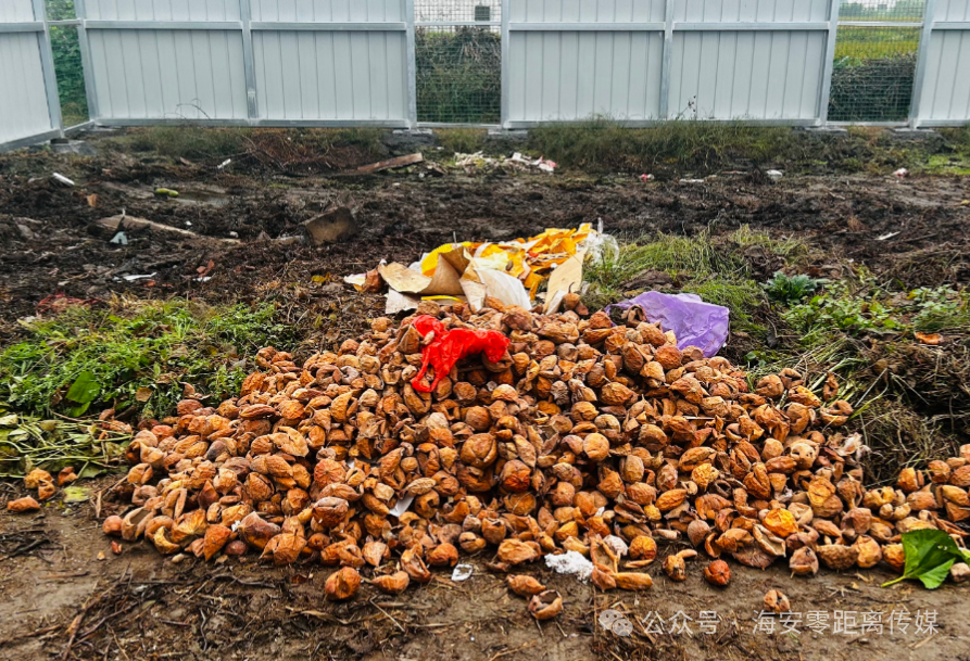 640?wx_fmt=png&from=appmsg&watermark=1#imgIndex=4