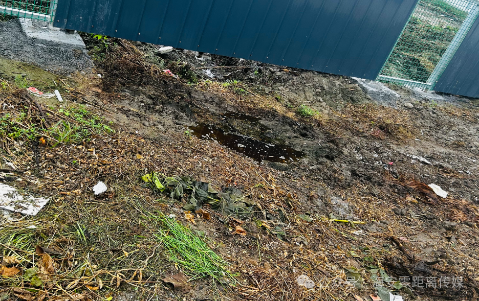 640?wx_fmt=png&from=appmsg&watermark=1#imgIndex=5