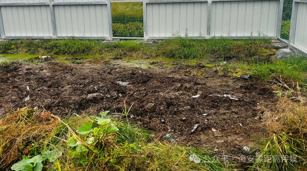 640?wx_fmt=png&from=appmsg&watermark=1#imgIndex=6