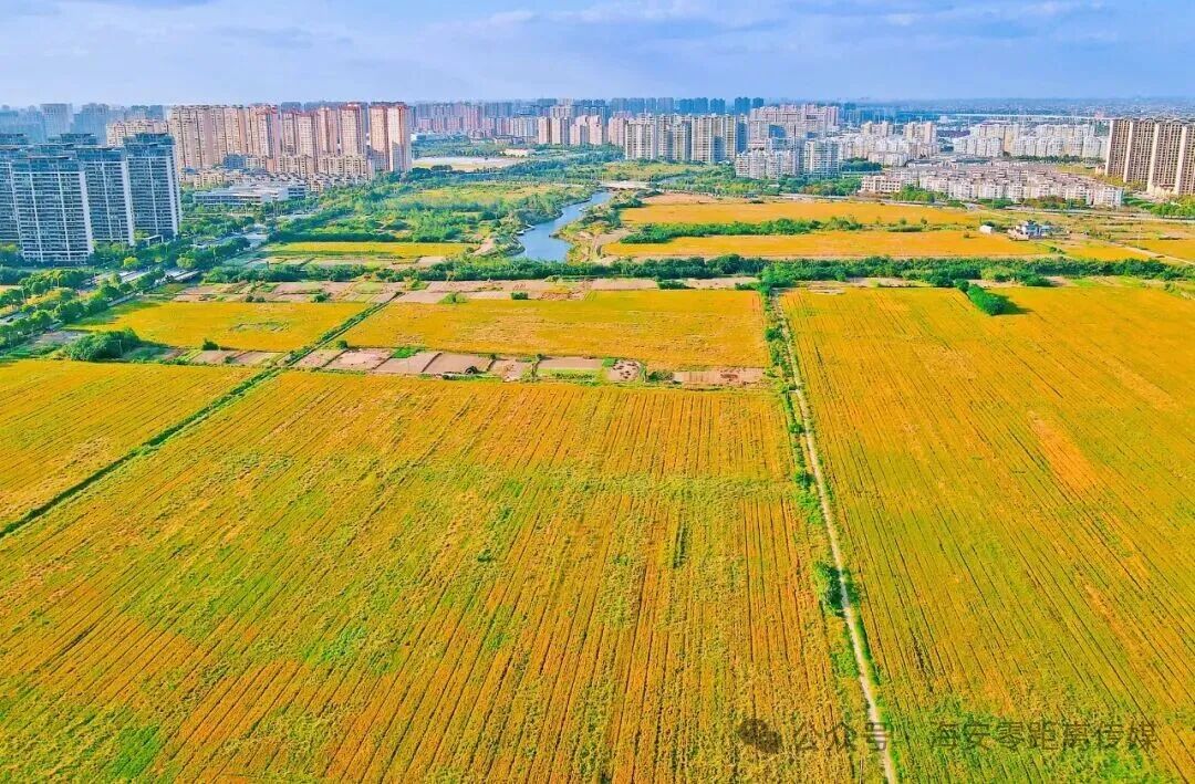 640?wx_fmt=jpeg&from=appmsg&watermark=1#imgIndex=4