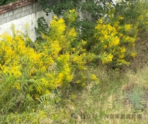 640?wx_fmt=png&watermark=1#imgIndex=5