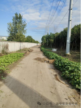 640?wx_fmt=png&watermark=1#imgIndex=25