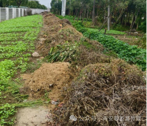 640?wx_fmt=png&watermark=1#imgIndex=22