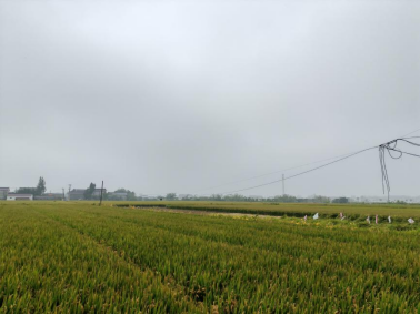 640?wx_fmt=png#imgIndex=26