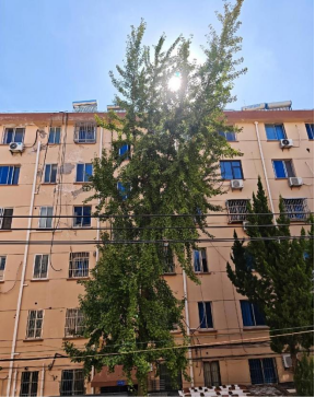 640?wx_fmt=png#imgIndex=31