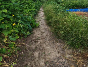 640?wx_fmt=png#imgIndex=7