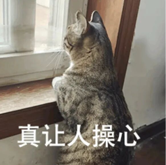 640?wx_fmt=jpeg&from=appmsg#imgIndex=6