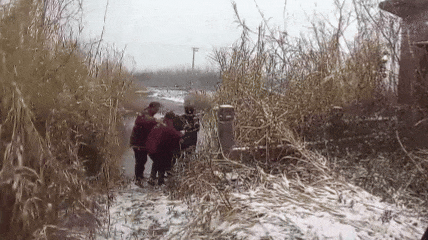 640?wx_fmt=gif&from=appmsg#imgIndex=5