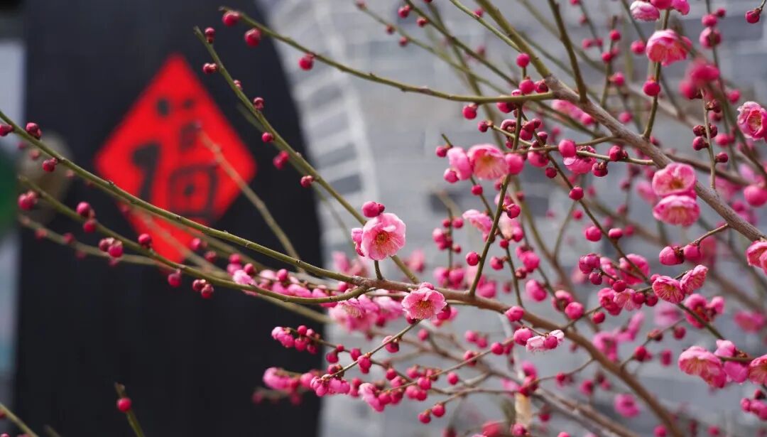 640?wx_fmt=jpeg&from=appmsg&tp=webp&wxfrom=5&wx_lazy=1#imgIndex=10