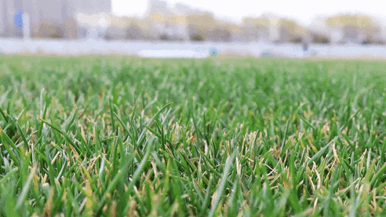 640?wx_fmt=gif&from=appmsg#imgIndex=5